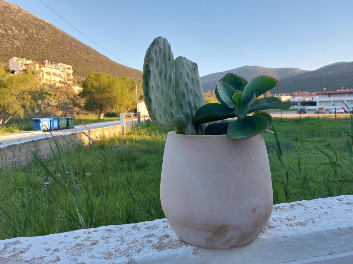 Vitamin Sea Studio Panagia  Zewnętrze zdjęcie